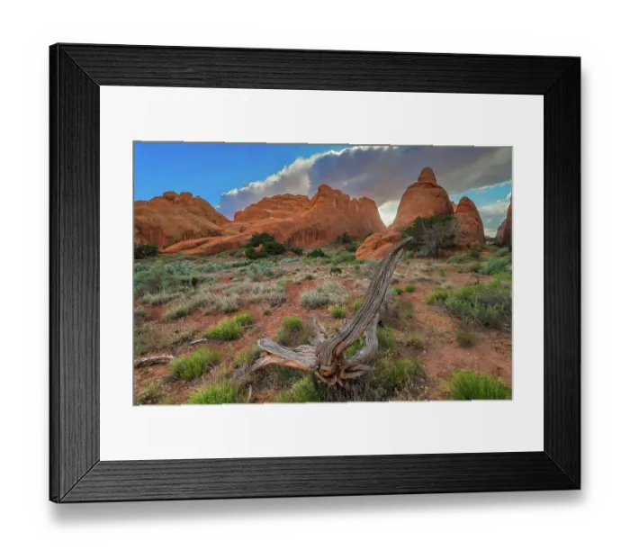 Framed Print : Devil's Garden Trail, Arches National Park, Utah, US Framed Print : Devil's Garden Trail, Arches National Park, Utah, US