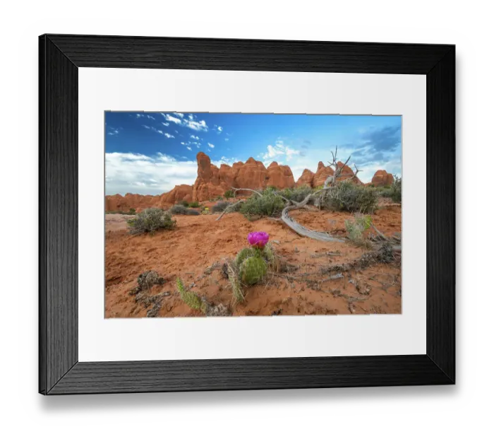 Framed Print : Sunset, Devil's Garden, Arches National Park, Utah, US
