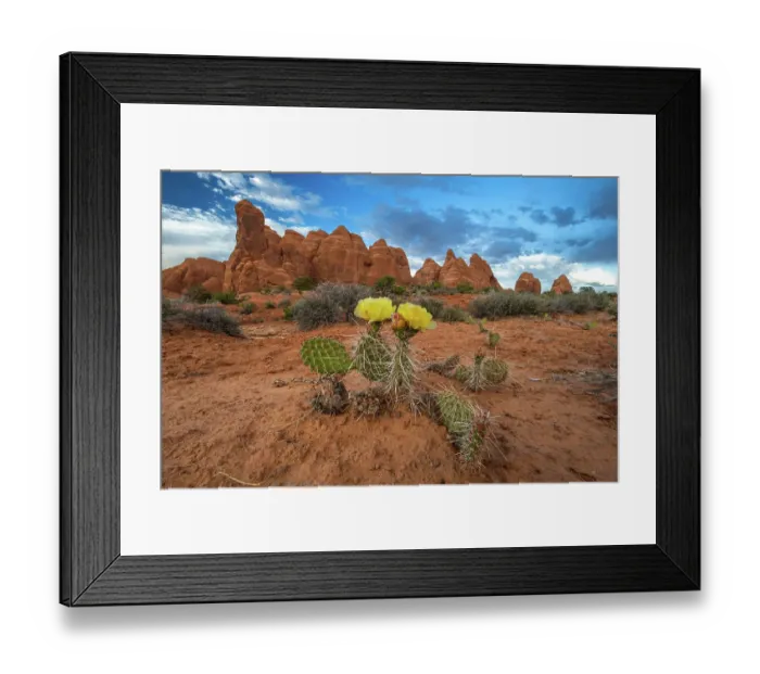 Framed Print : Sunset, Devil's Garden, Arches National Park, Utah, US