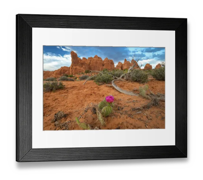 Framed Print : Sunset, Devil's Garden, Arches National Park, Utah, US Framed Print : Sunset, Devil's Garden, Arches National Park, Utah, US