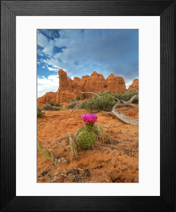 Framed Print : Sunset, Devil's Garden, Arches National Park, Utah, US Framed Print : Sunset, Devil's Garden, Arches National Park, Utah, US