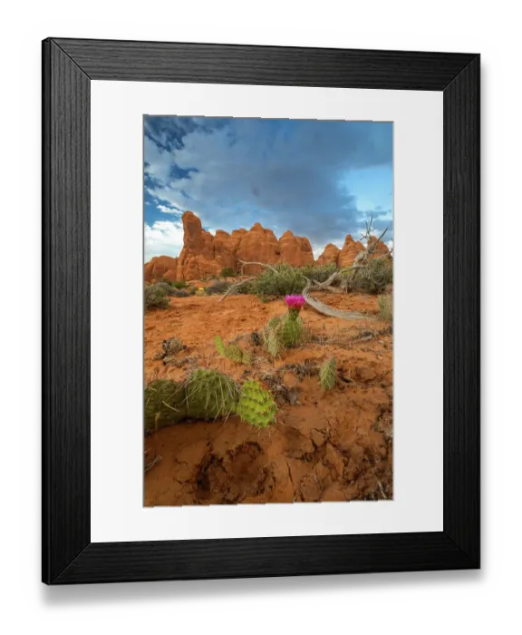 Framed Print : Sunset, Devil's Garden, Arches National Park, Utah, US Framed Print : Sunset, Devil's Garden, Arches National Park, Utah, US