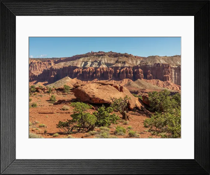 Framed Print : Pinyon pines and the Fluted Wall, Sunset Point, Capitol Reef National Park, Utah, US