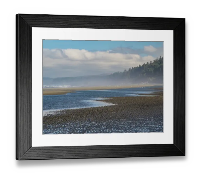 Framed Print : Misty beach, Olympic Peninsula, Washington State Framed Print : Misty beach, Olympic Peninsula, Washington State