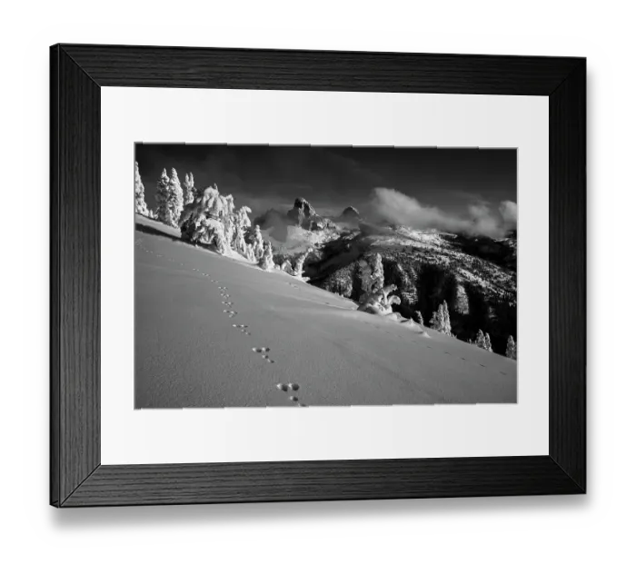 Framed Print : USA, Wyoming. Black and white photo of rabbit tracks in snow and landscape on west side of Teton Range