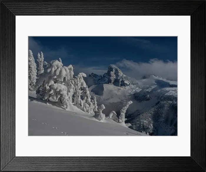 Framed Print : USA, Wyoming. Rabbit tracks and snowy landscape on west side of Teton Range Framed Print : USA, Wyoming. Rabbit tracks and snowy landscape on west side of Teton Range