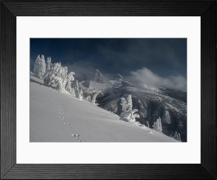 Framed Print : USA, Wyoming. Snowshoe hare tracks in snow and Teton Range in distance Framed Print : USA, Wyoming. Snowshoe hare tracks in snow and Teton Range in distance