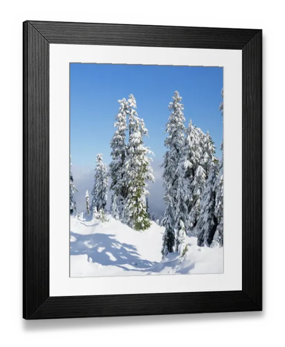 Framed Print : Washington State, USA. Central Cascades, Mount Baker Snoqualmie National Forest, Granite Mountain, snow covered fir trees