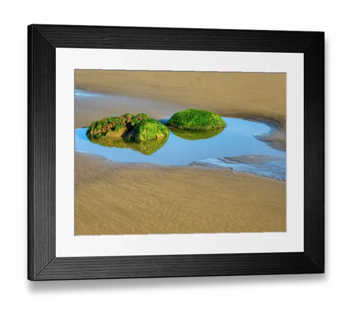 Framed Print : Washington State, USA. Olympic National Park, Second Beach, seagrass covered rocks in tide pool Framed Print : Washington State, USA. Olympic National Park, Second Beach, seagrass covered rocks in tide pool