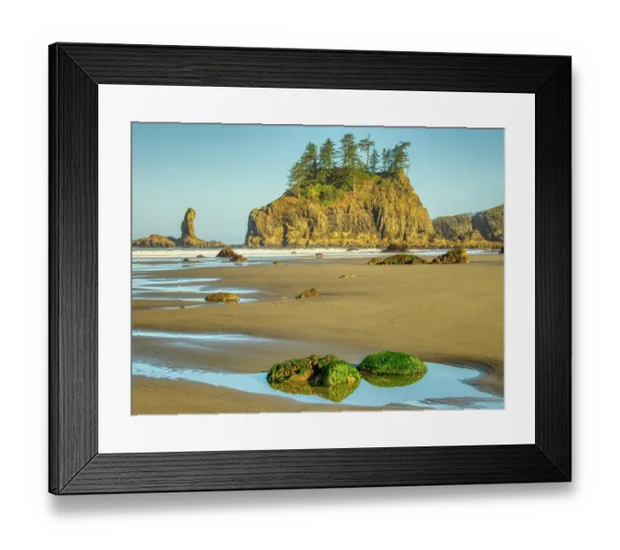 Framed Print : Washington State, USA. Olympic National Park, Second Beach, seagrass covered rocks in tide pool and seastacks at low tide Framed Print : Washington State, USA. Olympic National Park, Second Beach, seagrass covered rocks in tide pool and seastacks at low tide