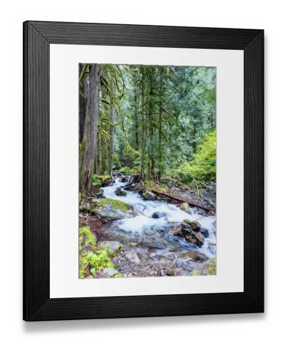 Framed Print : Copper Creek in Gifford-Pinchot National Forest Framed Print : Copper Creek in Gifford-Pinchot National Forest