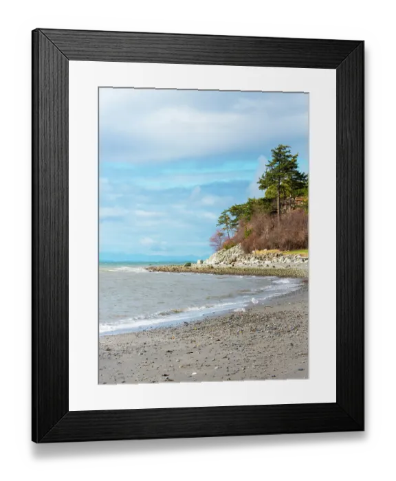 Framed Print : USA, Blaine, Washington State. Bright winter day gulls forage Birch Bay shoreline. British Columbia Gulf Islands and horizon Framed Print : USA, Blaine, Washington State. Bright winter day gulls forage Birch Bay shoreline. British Columbia Gulf Islands and horizon
