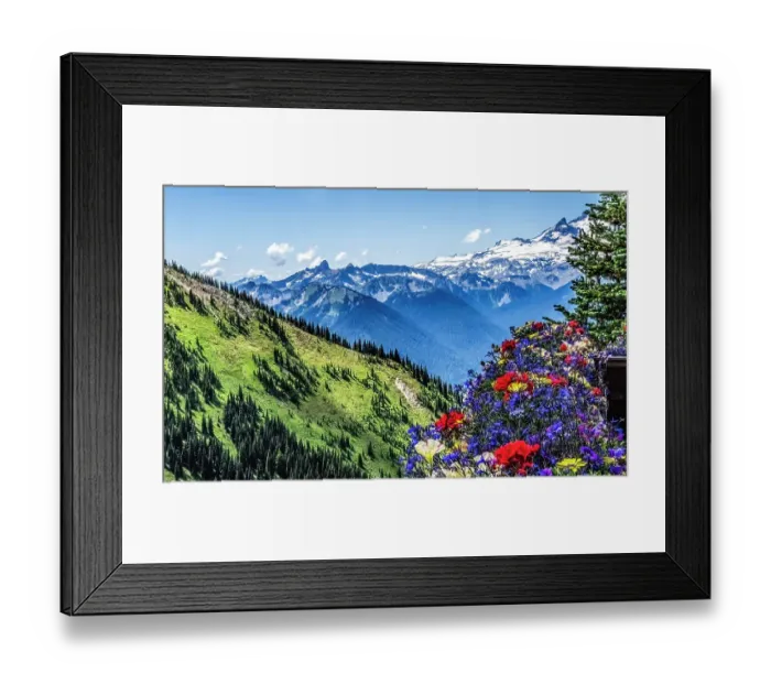 Framed Print : Colorful flowers, Mount Rainier, Crystal Mountain lookout, Pierce County, Washington State, Usa