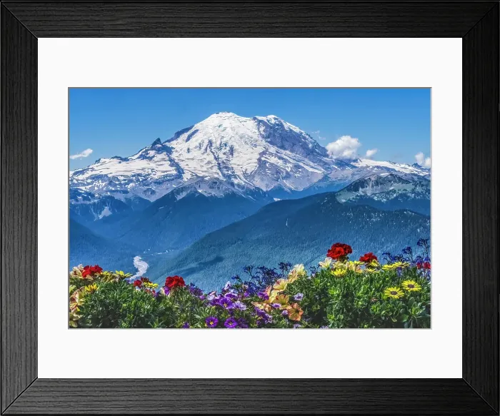 Framed Print : Colorful flowers, Mount Rainier, Crystal Mountain lookout, Pierce County, Washington State, Usa Framed Print : Colorful flowers, Mount Rainier, Crystal Mountain lookout, Pierce County, Washington State, Usa