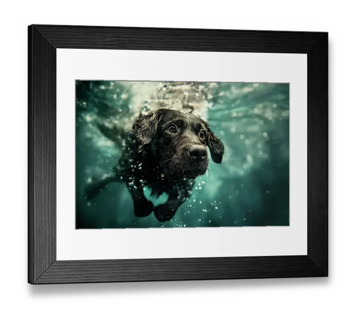 Framed Print : Dog diving underwater. (AI Generated) Framed Print : Dog diving underwater. (AI Generated)