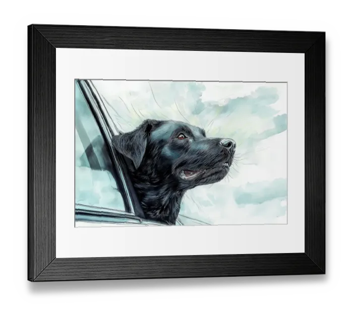Framed Print : Black lab dog riding with head out car window. (AI Generated) Framed Print : Black lab dog riding with head out car window. (AI Generated)