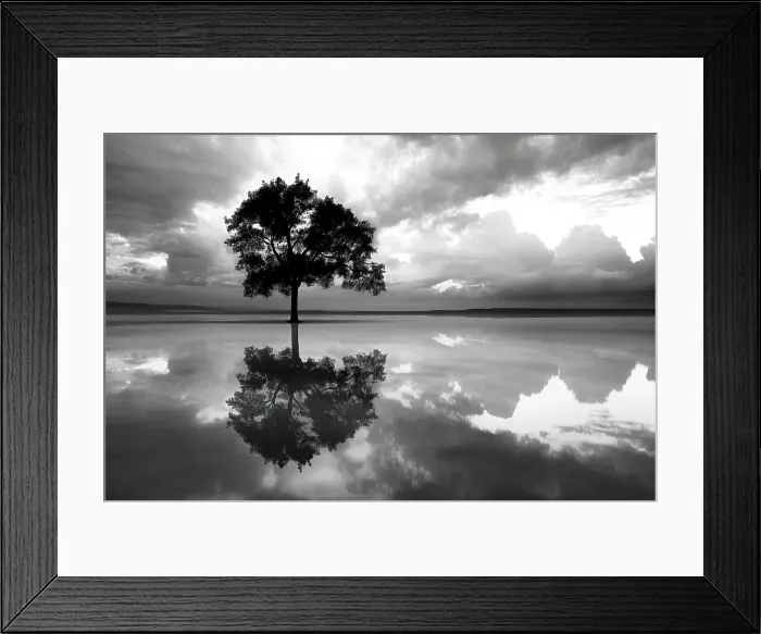 Framed Print : Tree reflection in lake. (AI Generated) Framed Print : Tree reflection in lake. (AI Generated)