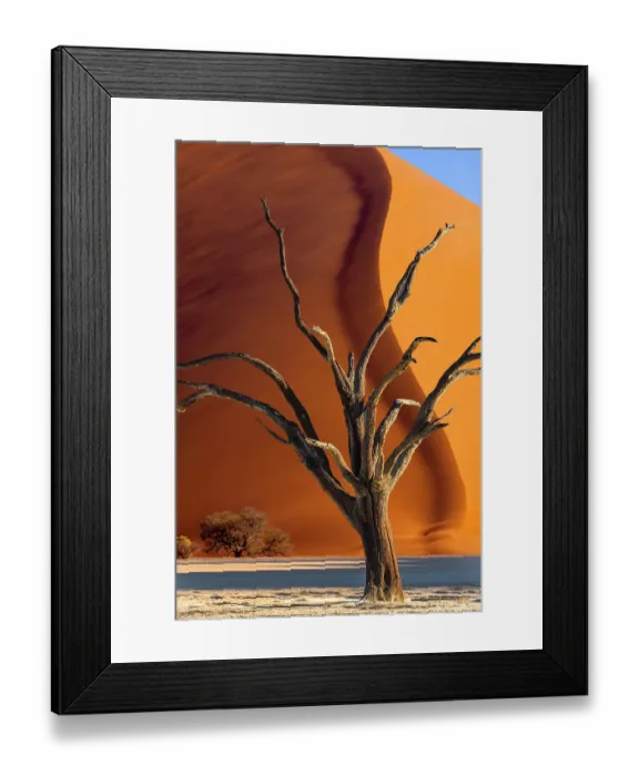 Framed Print : Namibia, Sossusvlei, Namib-Naukluft National Park. Dead tree shape and giant sand dune Framed Print : Namibia, Sossusvlei, Namib-Naukluft National Park. Dead tree shape and giant sand dune