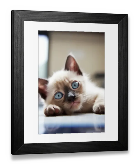 Framed Print : Siamese kitten lying on blanket. (AI Generated)