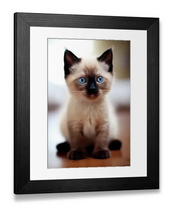 Framed Print : Siamese kitten sitting on table. (AI Generated)