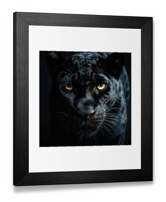 Framed Print : Close-up of black leopard's head. (AI Generated)