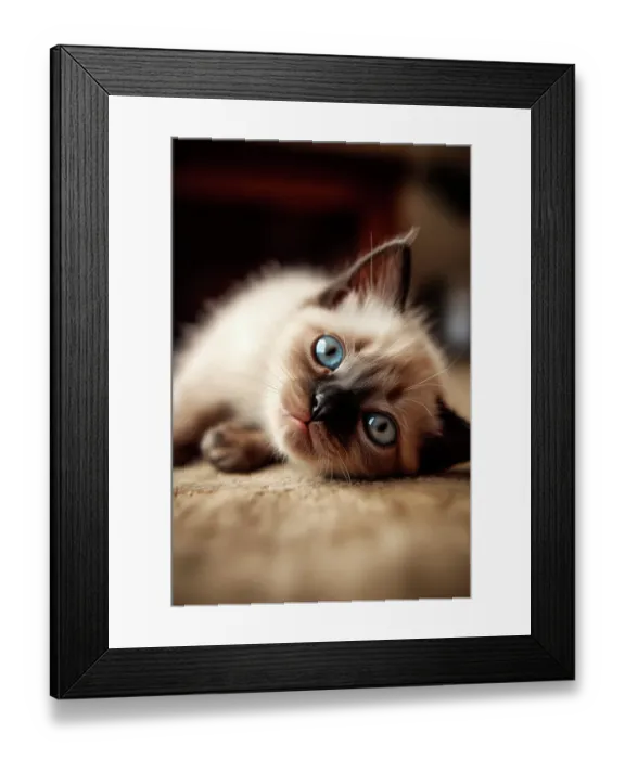 Framed Print : Siamese kitten lying on blanket. (AI Generated) Framed Print : Siamese kitten lying on blanket. (AI Generated)