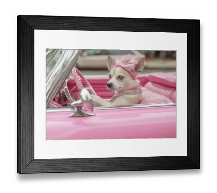 Framed Print : Female dog driving pink convertible auto. (AI Generated) Framed Print : Female dog driving pink convertible auto. (AI Generated)
