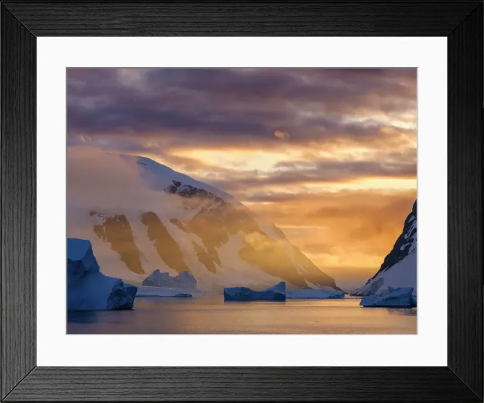 Framed Print : Landscape of the Arctowski Peninsula during sunset. West Antarctica, Antarctic Peninsula Framed Print : Landscape of the Arctowski Peninsula during sunset. West Antarctica, Antarctic Peninsula