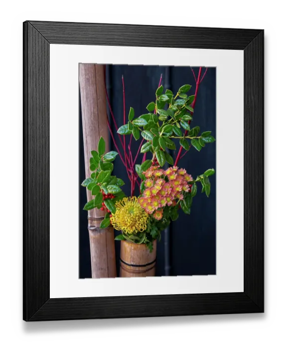 Framed Print : Japanese flower arrangement, with pincushion protea and chrysanthemums, Takayama, Japan Framed Print : Japanese flower arrangement, with pincushion protea and chrysanthemums, Takayama, Japan
