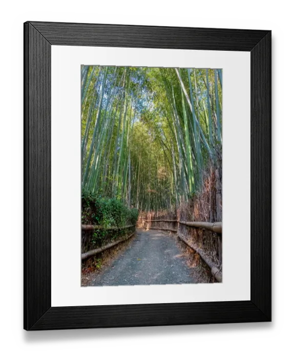 Framed Print : Sagano Bamboo Forest, Arashiyama, Kyoto, Japan