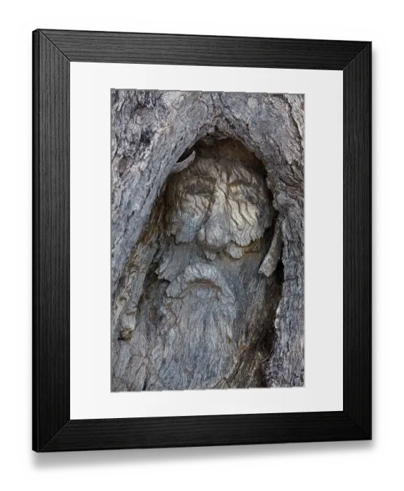 Framed Print : Historic carving of Burke, by John Dick in 1898, near The Dig Tree, Burke and Wills expedition, Coopers Creek near Innamincka, Queensland, Australia. (Editorial Use Only) Framed Print : Historic carving of Burke, by John Dick in 1898, near The Dig Tree, Burke and Wills expedition, Coopers Creek near Innamincka, Queensland, Australia. (Editorial Use Only)