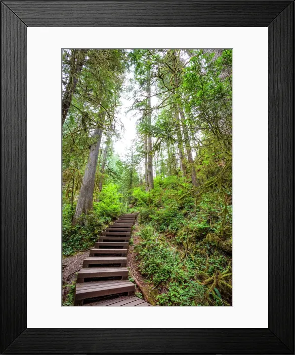Framed Print : Lynn Canyon river trail, North Vancouver, British Columbia, Canada Framed Print : Lynn Canyon river trail, North Vancouver, British Columbia, Canada