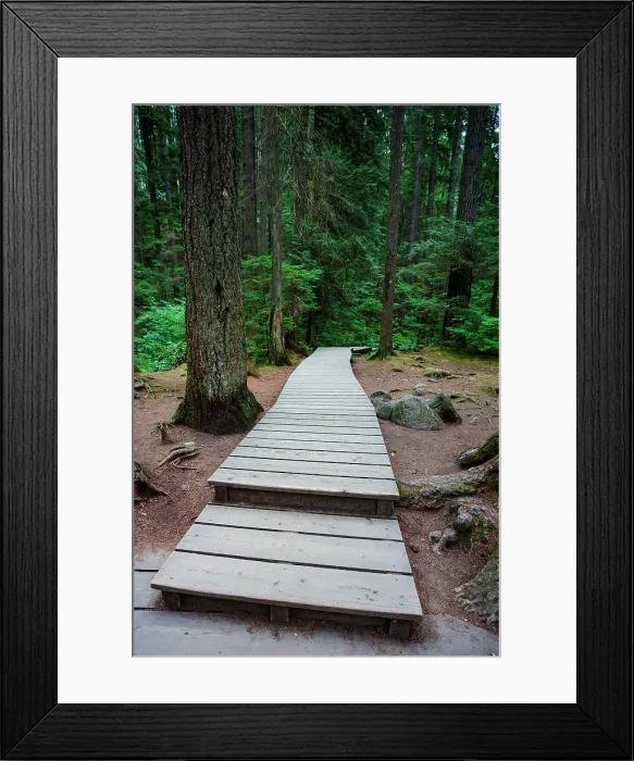 Framed Print : Lynn Canyon river trail, North Vancouver, British Columbia, Canada