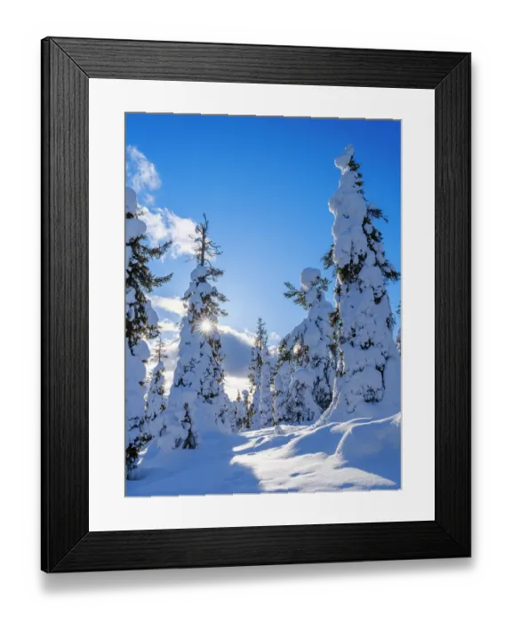 Framed Print : Boreal Forest or Taiga with snow clad spruce trees (locally called Tunturi) during winter. Landscape in the Riisitunturi National Park (Riisitunturi Kansallispuisto) in Lapland near Posio, Finland Framed Print : Boreal Forest or Taiga with snow clad spruce trees (locally called Tunturi) during winter. Landscape in the Riisitunturi National Park (Riisitunturi Kansallispuisto) in Lapland near Posio, Finland