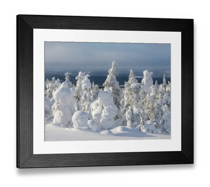 Framed Print : Snow covered mountain forest near Luosto. Landscape in the Pyha-Luosto National Park during winter in Lapland, Scandinavia, Finland Framed Print : Snow covered mountain forest near Luosto. Landscape in the Pyha-Luosto National Park during winter in Lapland, Scandinavia, Finland