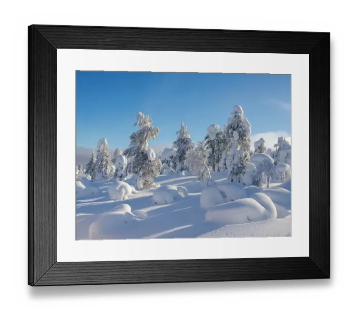 Framed Print : Snow covered mountain forest near Luosto. Landscape in the Pyha-Luosto National Park during winter in Lapland, Scandinavia, Finland Framed Print : Snow covered mountain forest near Luosto. Landscape in the Pyha-Luosto National Park during winter in Lapland, Scandinavia, Finland