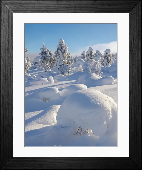 Framed Print : Snow covered mountain forest near Luosto. Landscape in the Pyha-Luosto National Park during winter in Lapland, Scandinavia, Finland Framed Print : Snow covered mountain forest near Luosto. Landscape in the Pyha-Luosto National Park during winter in Lapland, Scandinavia, Finland