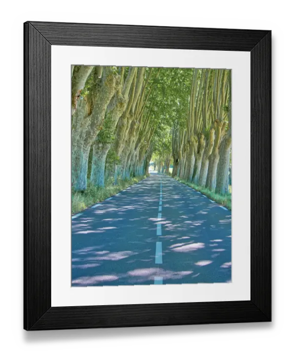 Framed Print : France, Provence. Backroad through tunnel of trees