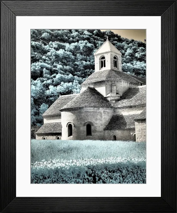 Framed Print : France, Provence. Blooming purple lavender fields at Senanque Abbey