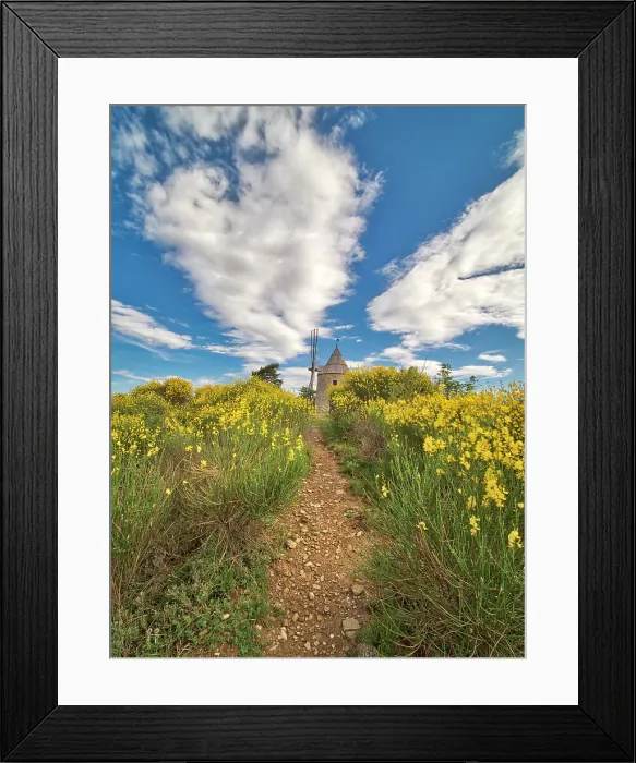 Framed Print : France, Provence. Montfuron Windmill (Moulin Saint-Elzear de Montfuron) with wildflowers. (Editorial Use Only) Framed Print : France, Provence. Montfuron Windmill (Moulin Saint-Elzear de Montfuron) with wildflowers. (Editorial Use Only)