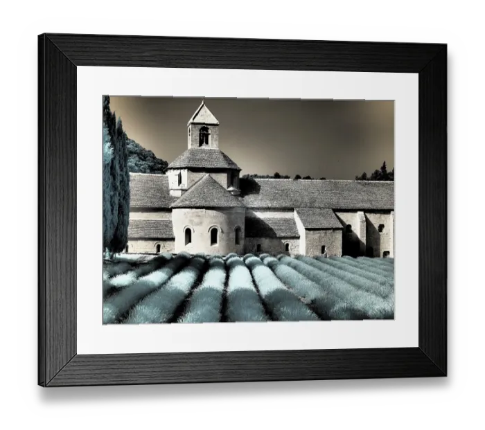 Framed Print : France, Provence. Blooming purple lavender fields at Senanque Abbey Framed Print : France, Provence. Blooming purple lavender fields at Senanque Abbey