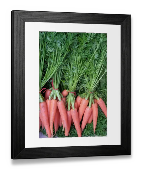 Framed Print : Palermo, Sicily. Fresh carrots for sale at the Ballaro market Framed Print : Palermo, Sicily. Fresh carrots for sale at the Ballaro market