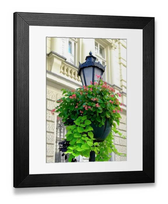 Framed Print : Budapest, Hungary. Quaint lamppost with flowers Framed Print : Budapest, Hungary. Quaint lamppost with flowers