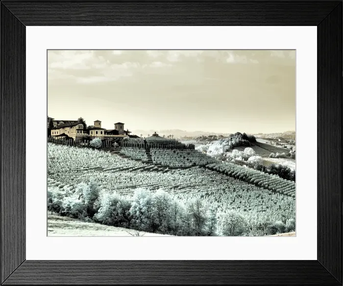 Framed Print : Italy, Pedemonte, Langhe, Barolo. Vineyards. (Editorial Use Only)