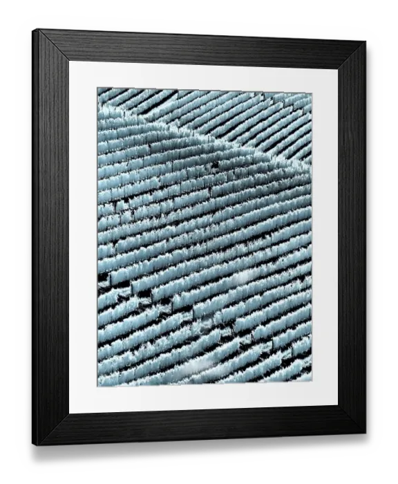 Framed Print : Italy, Pedemonte, Langhe. Vineyards in the Barolo area Framed Print : Italy, Pedemonte, Langhe. Vineyards in the Barolo area