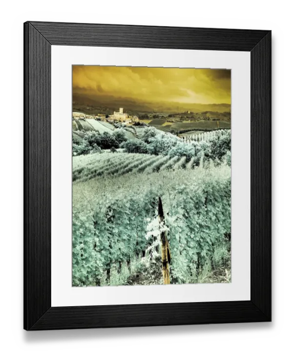 Framed Print : Italy, Pedemonte, Langhe, Perno. Infrared of vineyards Framed Print : Italy, Pedemonte, Langhe, Perno. Infrared of vineyards