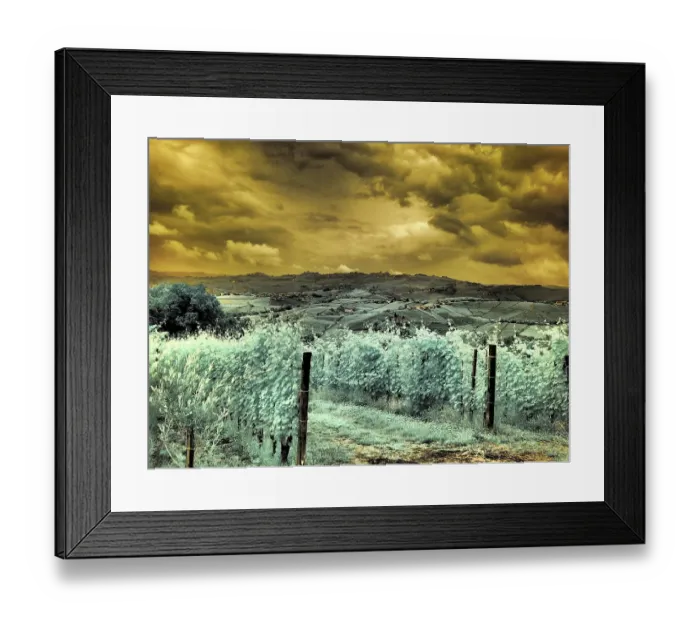 Framed Print : Italy, Pedemonte, Langhe, Perno. Infrared of vineyards Framed Print : Italy, Pedemonte, Langhe, Perno. Infrared of vineyards