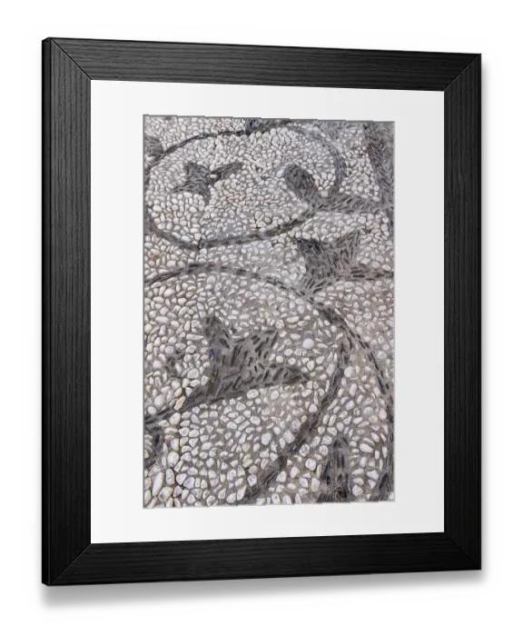 Framed Print : Albaicin, Province of Granada, Andalusia, Spain. A vine pattern on a sidewalk paved with black and white stones