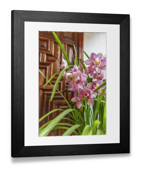 Framed Print : Centro District, Cordoba, Cordoba Province, Andalusia, Spain. May 2, 2023. Beautiful flowers in a home in Cordoba. Editorial Use Only