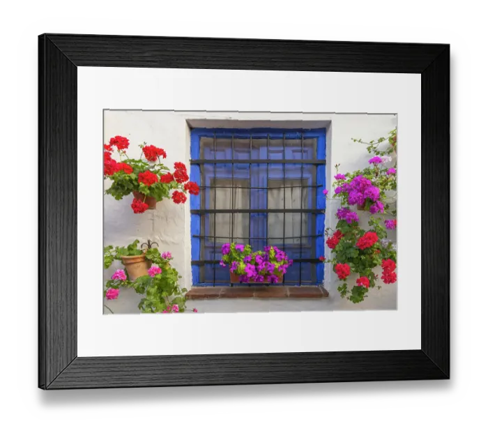Framed Print : Centro District, Cordoba, Cordoba Province, Andalusia, Spain. Colorful flowers decorate a blue window Framed Print : Centro District, Cordoba, Cordoba Province, Andalusia, Spain. Colorful flowers decorate a blue window